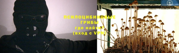a pvp Армянск