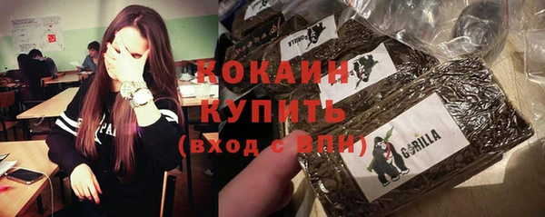 спайс Аркадак