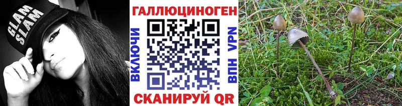 Галлюциногенные грибы мицелий  Артёмовск 